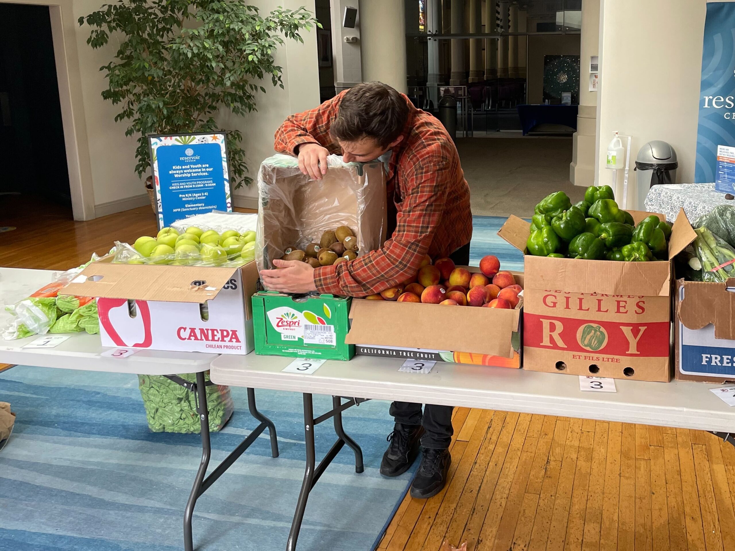 Photo of a Food For Free staff member pouring produce from one box to another at a School Market.